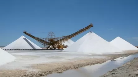 В одном из павлодарских сел возобновят добычу соли спустя почти 10 лет