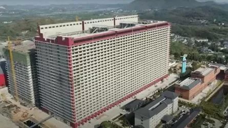 Свиноферму в 26 этажей построили в Китае
