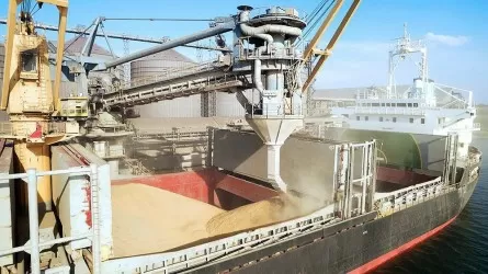 "Астық мәмілесі" аясында Украинадан 15 млн тоннадан астам жүк шығарылды