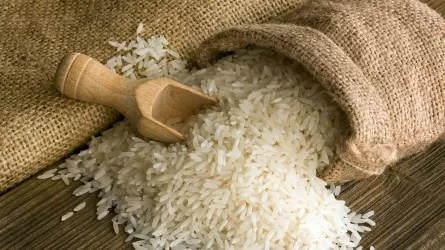 Основной объем казахстанского риса уходит в страны СНГ