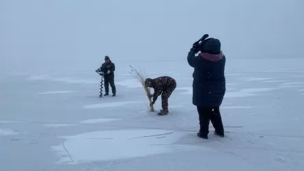 Қарағанды облысының су айдындарында балықтардың қырылуына қарсы іс-шаралар жүргізілуде