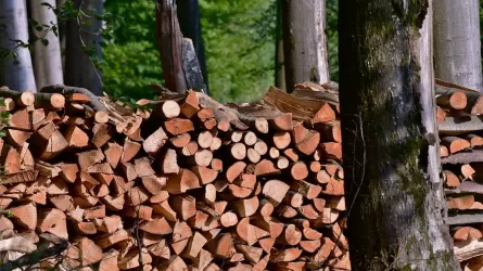На отсутствие дров пожаловались в районе Костанайской области