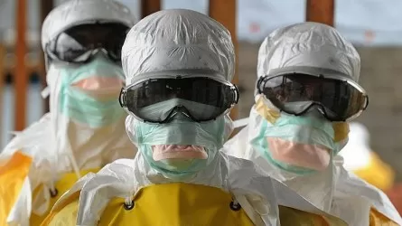Эпидемия свиного гриппа может разразиться в России – СМИ