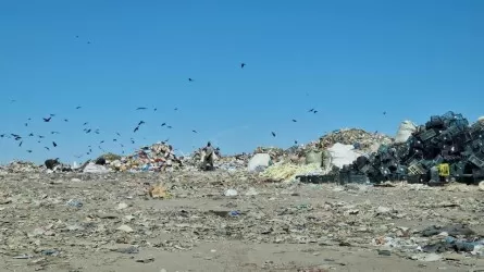 Чиновников в Алматинской области оштрафовали за мусорные свалки