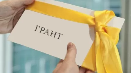 Елімізде ЖОО-ларға білім гранттары жаңа күнтізбелік жыл басталғанға дейін бөлінеді - министрлік