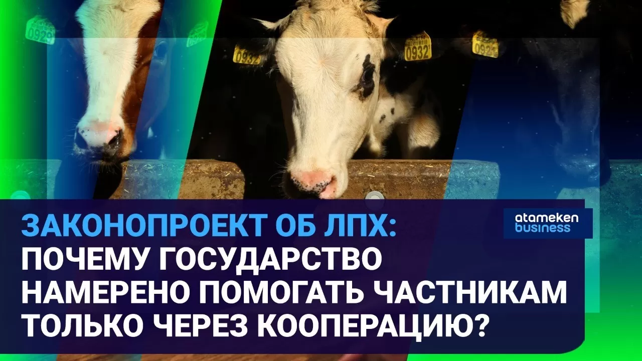 Личные подсобные хозяйства будут подчиняться новому закону: какие нормы пропишут депутаты? 
