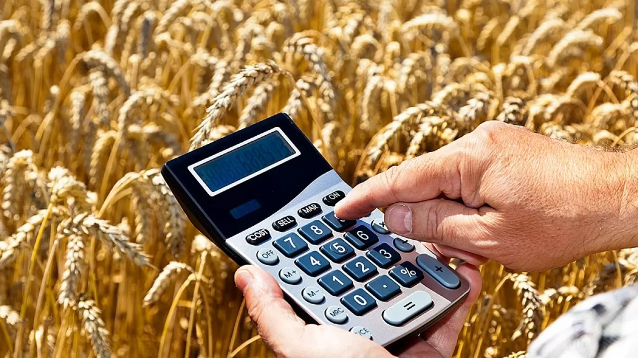 Зарплаты в сфере сельского хозяйства почти на 40% ниже, чем в среднем по РК