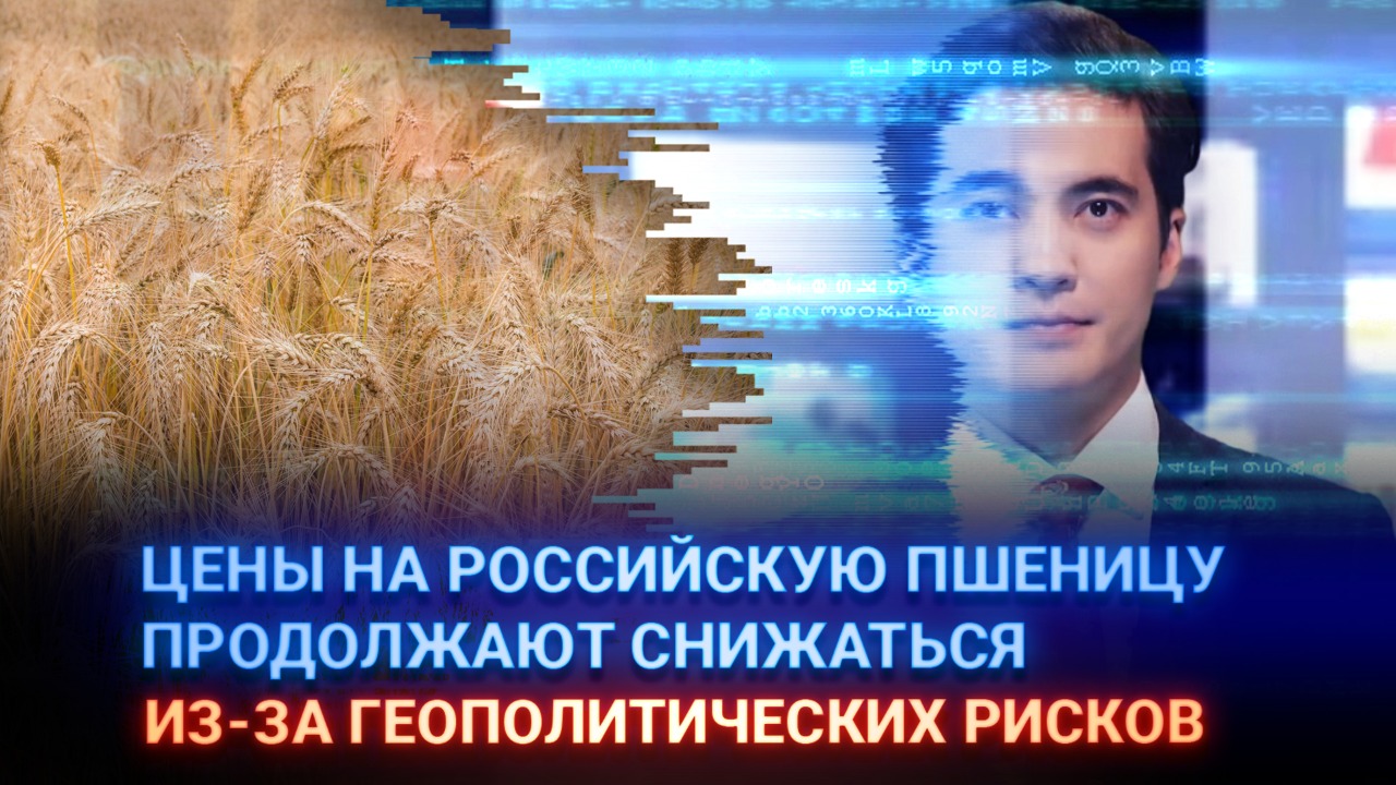 Цены на российскую пшеницу продолжают снижаться из-за геополитических рисков