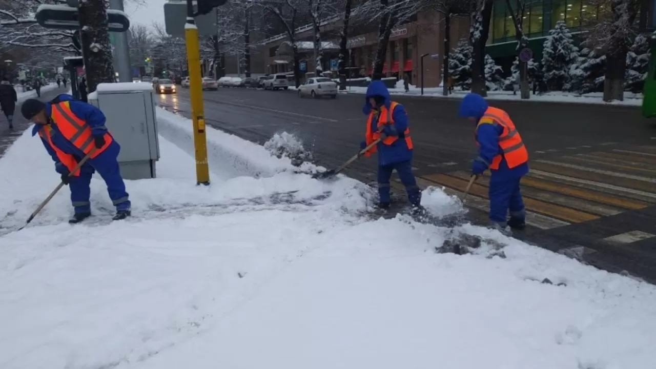 Алматы завалило снегом  