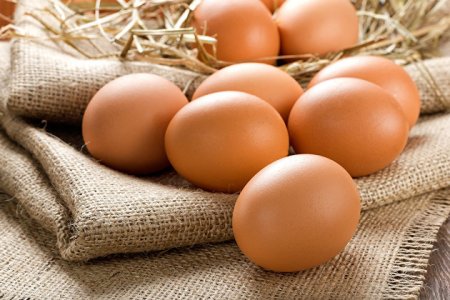 Птицефабрики массово забивают кур: Казахстан останется без яиц?