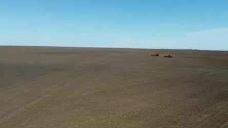 Посевную кампанию начали в Жамбылской области