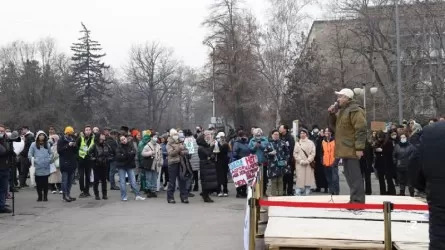 Митинг за чистый воздух прошел в Алматы