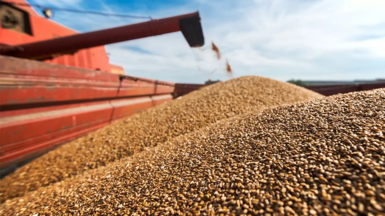 Каковы условия возобновления поставок российской пшеницы в Казахстан?