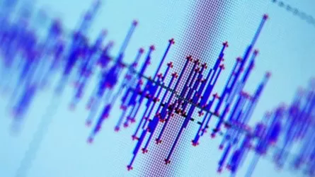 Землетрясение произошло в Алматинской области