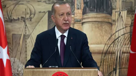 Эрдоган заявил о готовности содействовать мирному урегулированию на Украине