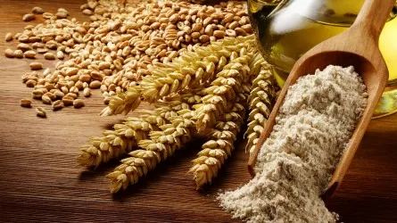 Хватит ли Казахстану зерна и муки? 