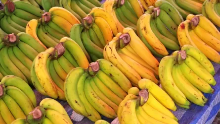 Эквадорские производители бананов столкнулись с проблемами из-за санкций против России