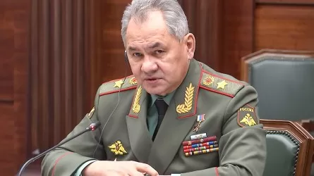 Армия Украинадағы арнайы операцияны жалғастырады – Сергей Шойгу