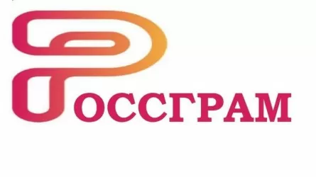 Фейком назвали аналог Instagram "Россграм"