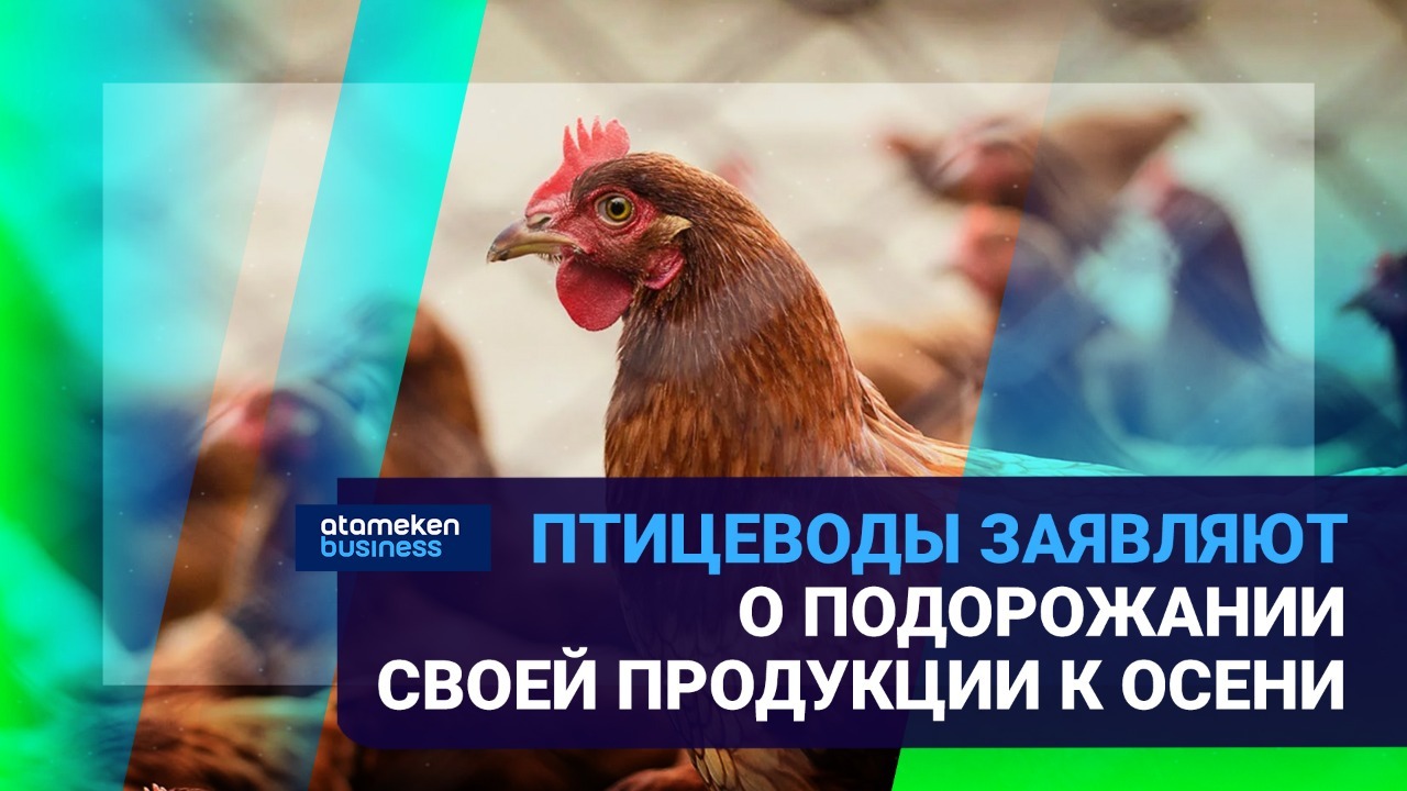 Птицефабрики в кризисе: бизнес заявляет – кормить кур нечем! / Время говорить (29.04.22)