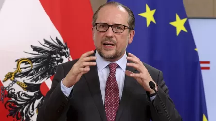 Глава МИД Австрии выступил против полноправного членства Украины в ЕС