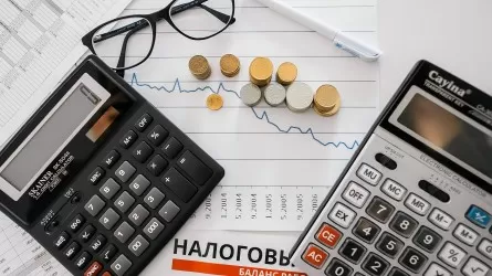"Кошмарингом" назвали инвесторы налоговые органы Казахстана
