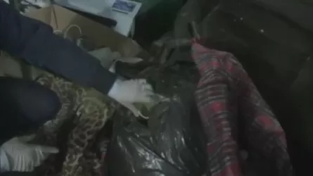 Наркотики в гараже обнаружили в Нур-Султане