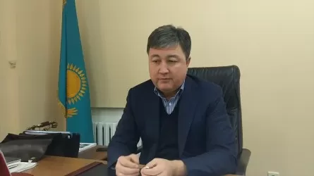 «Алматы СпецТехПаркинг Сервис» директоры ұсталды