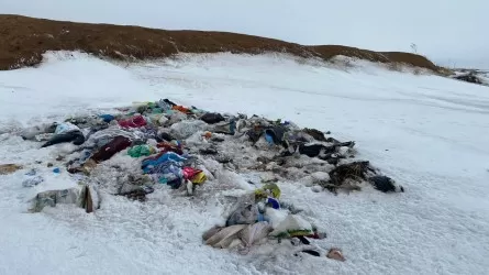 Несанкционированные свалки в Целиноградском районе обещают рекультивировать