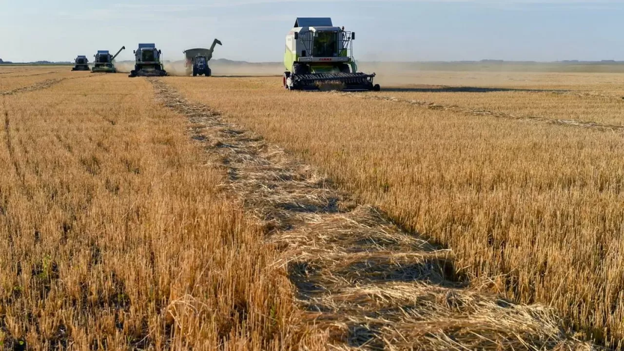 Где в сельском хозяйстве платят больше – в Казахстане или в России?