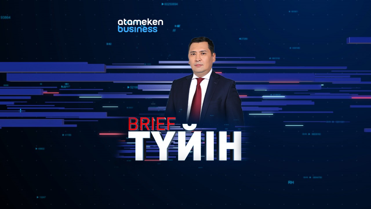 BRIEF ТҮЙІН