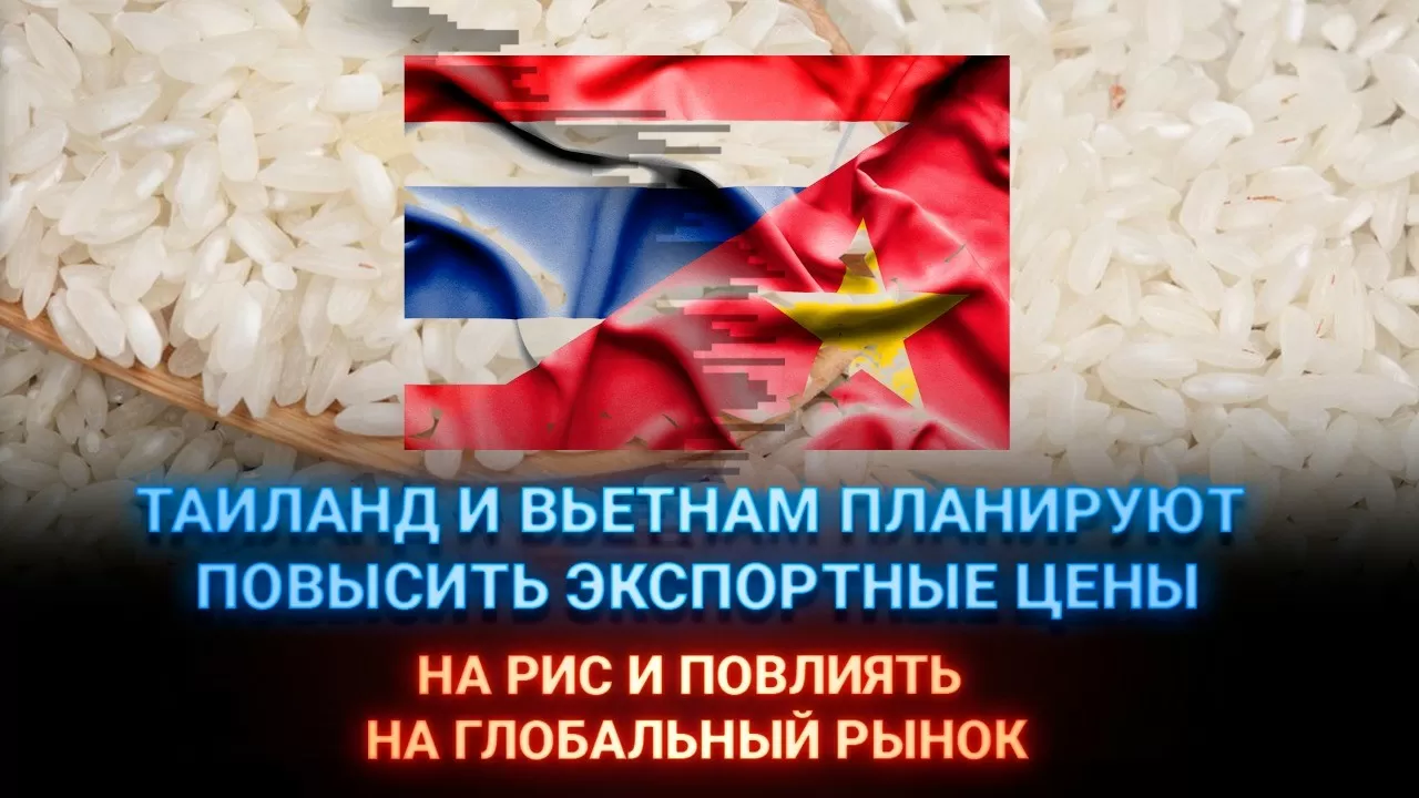 Таиланд и Вьетнам планируют повысить экспортные цены на рис и повлиять на глобальный рынок — СМИ