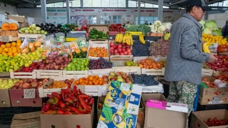 Может ли продовольственный кризис коснуться Казахстана? 