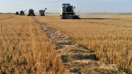Где в сельском хозяйстве платят больше – в Казахстане или в России?
