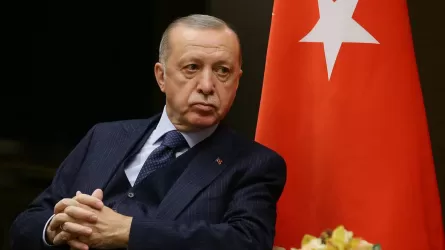 Эрдоган проведет телефонные переговоры с Путиным и Зеленским 30 мая
