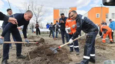 Высадку 100 тысяч саженцев в Темиртау начала компания "АрселорМиттал Темиртау"