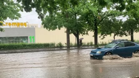 Когда прекратится дождь в Алматы