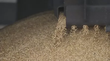 В Казахстане за 4 дня выданы квоты на экспорт 40,7 тыс. тонн пшеницы