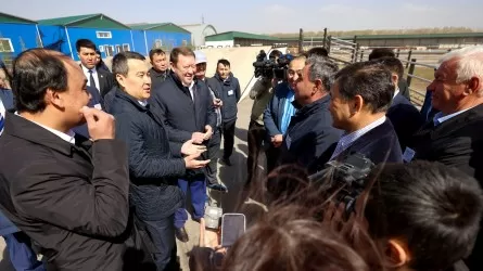 Үкімет басшысы Солтүстік Қазақстанның шаруаларымен кездесті
