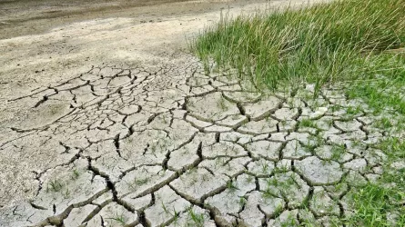 В Кызылординской области ожидается сильная засуха