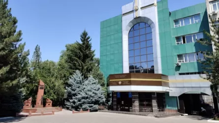 Мужчины силой усадили женщину в машину – подробности от полиции Алматы