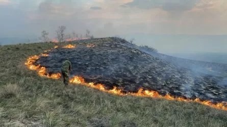 Два крупных лесных пожара бушуют в ВКО