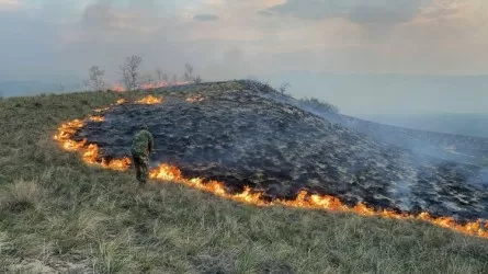 Шығыс Қазақстан облысында орман өртеніп жатыр 