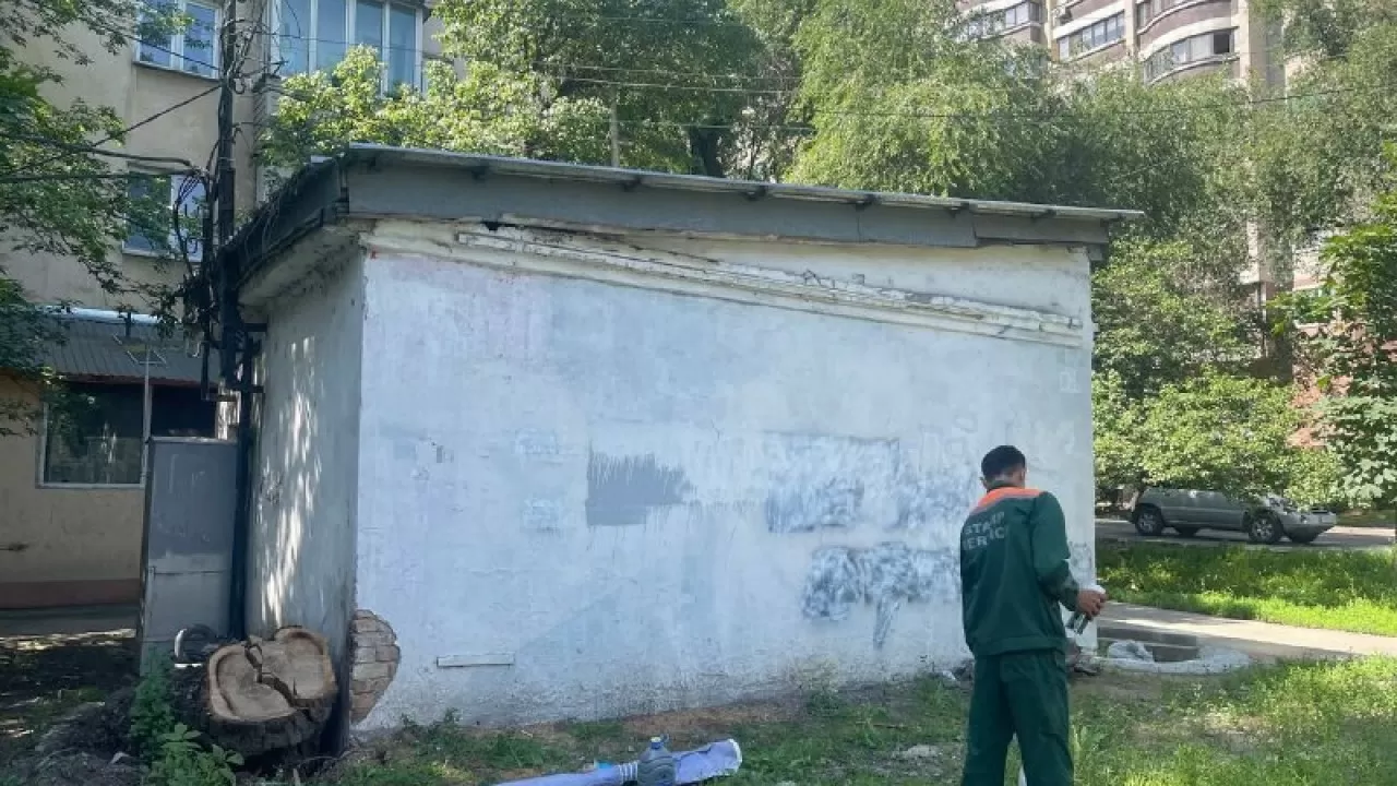 Мурал с убитой во время январских беспорядков девочкой закрасили. Названа причина