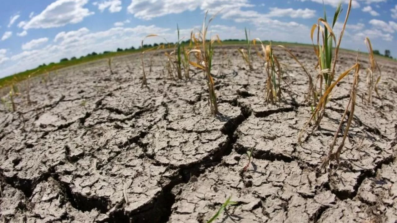 Как минсельхоз планирует решать проблемы засухи в Мангистауской области