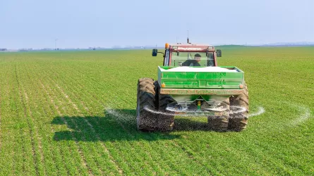 Экспортные ограничения могут усугубить продовольственный кризис