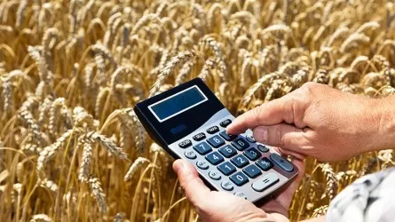 За три года экспортерам зерна по "упрощенке" возвращено 127 млрд тенге НДС