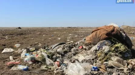 В Актобе жителям выдали землю под ИЖС на мусорном полигоне
