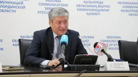 Кызылординская область полностью обеспечивает себя только рисом и солью