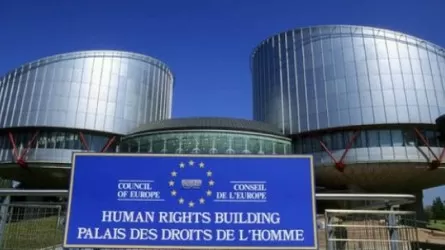 Решения Европейского суда по правам человека исполняться не будут – Володин